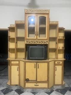Tv wall unit with tv
