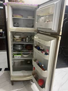 refrigerator or fridge