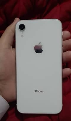 iPhone XR white Colour (10/10 Condition) Non-PTA