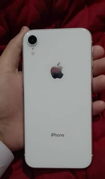 iPhone XR white Colour (10/10 Condition) Non-PTA 0