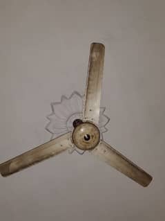 used ceiling fan available for sale 56"