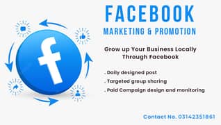 Facebook Marketing and Promotion for Local and International Business 0