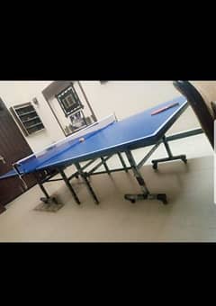 buterfly table tennis