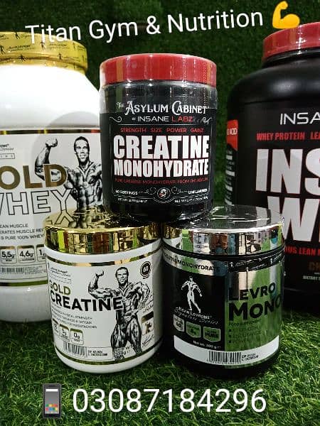 Whey Protein Mass Gainer All Supplements 15