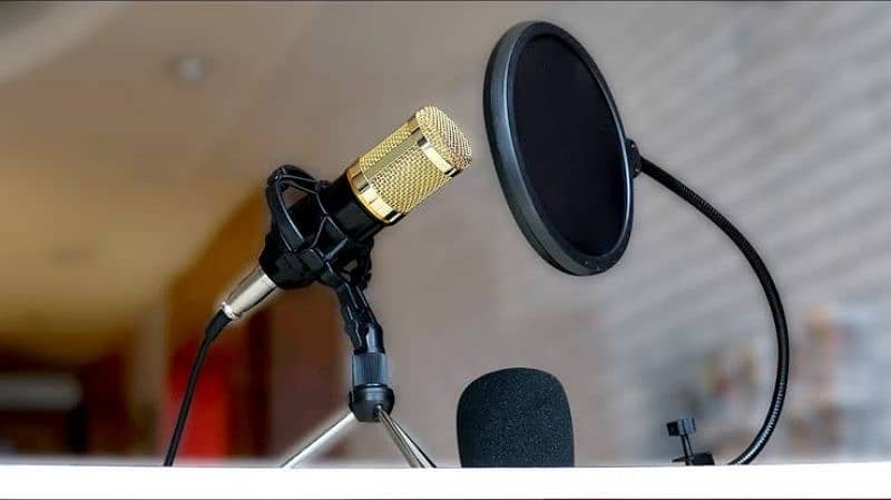 BM_800 condenser microphone 4