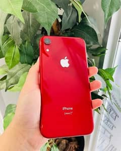 iphone xr red colour non pta