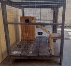 wooden parrot cage