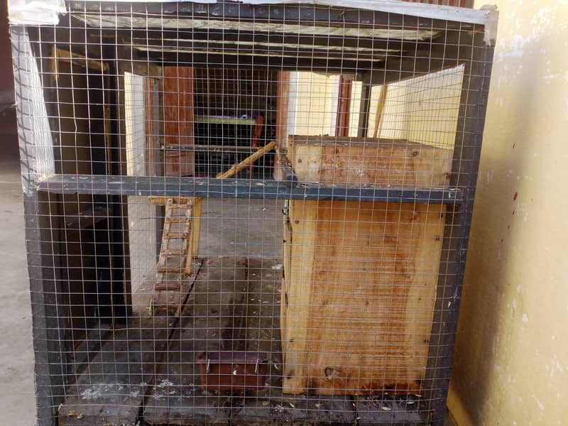 wooden parrot cage 1