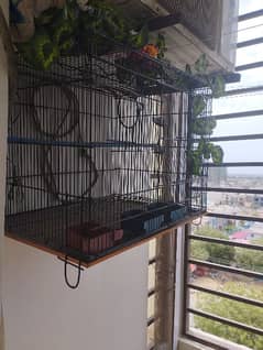 large size of cage