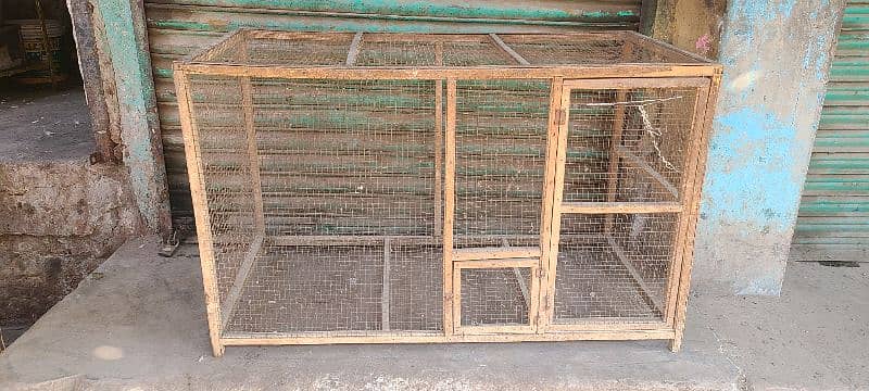 birds cage 4