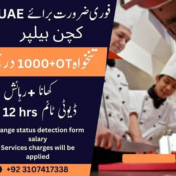 2 year UAE viza available 5