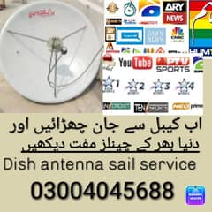 Dish antenna PE 300 channels live free forever