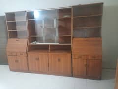 Storage and Display Cabinet 0