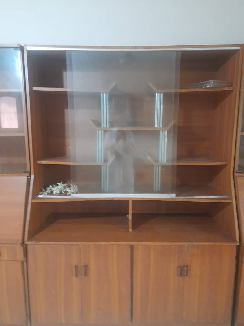 Storage and Display Cabinet 1
