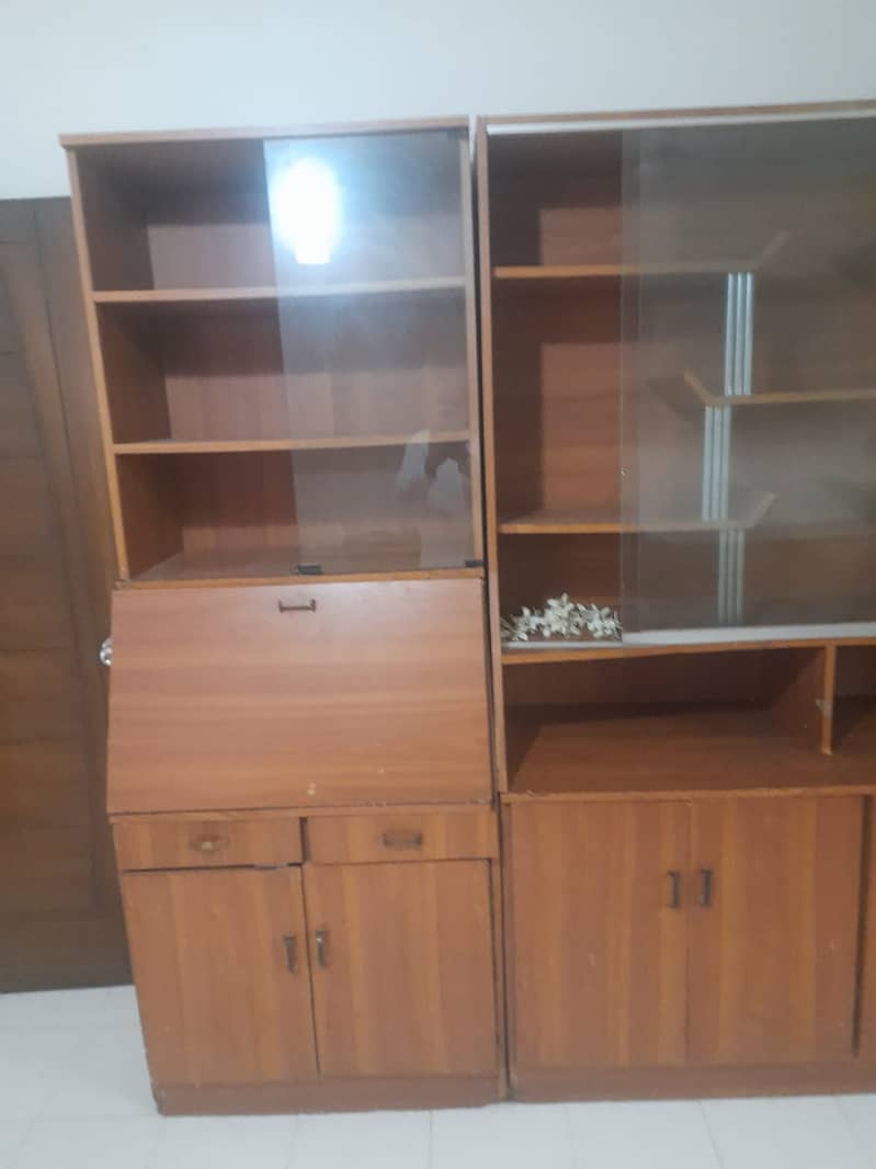 Storage and Display Cabinet 2