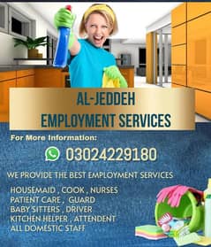 Domestic staff, Baby sitter, Maid, Babysitter , Cook, Driver, Nurse