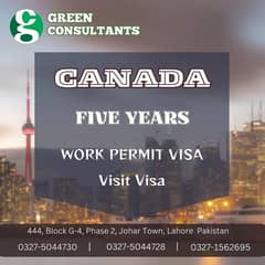 Visa Services / Uk Work Visa / USA Vist Visa / Canada Work Visa