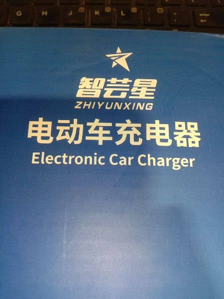 Electric bike / Car charger 4