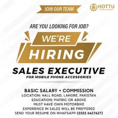 Job | Hiring | Sales Executive