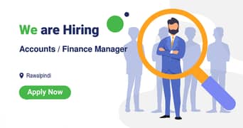 Accounts / Finance Manager