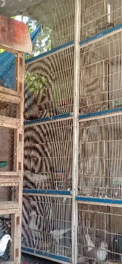 4 cage for sale 4 khany waly 03265405508