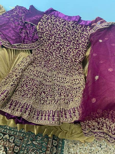 Fancy embroidery Fish Lehnga For Sale 4