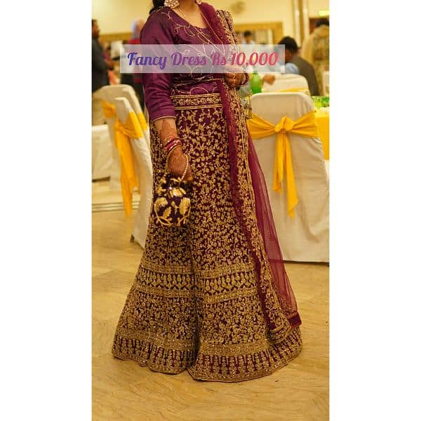 Fancy embroidery Fish Lehnga For Sale 6