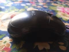 mouse for sale