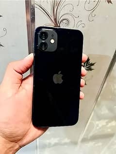 Iphone 12 Black