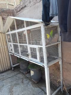 Parrot cage with parrots