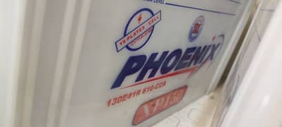 Phoenix XP 150 Battery (2 Pcs)