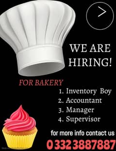 Accountant   and Inventory Boy Required for Bakery 0