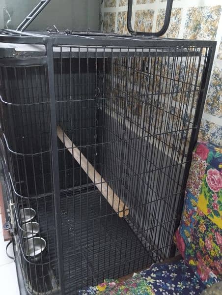 grey parrot cage big 3