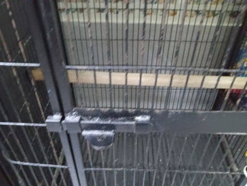 grey parrot cage big 4