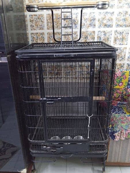 grey parrot cage big 11