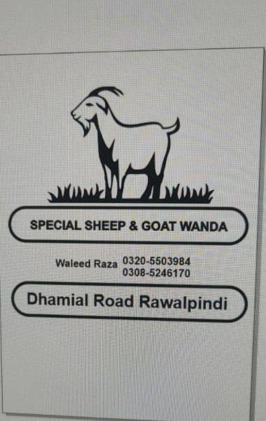 waleed qurbani special Wanda for goat and sheep 3