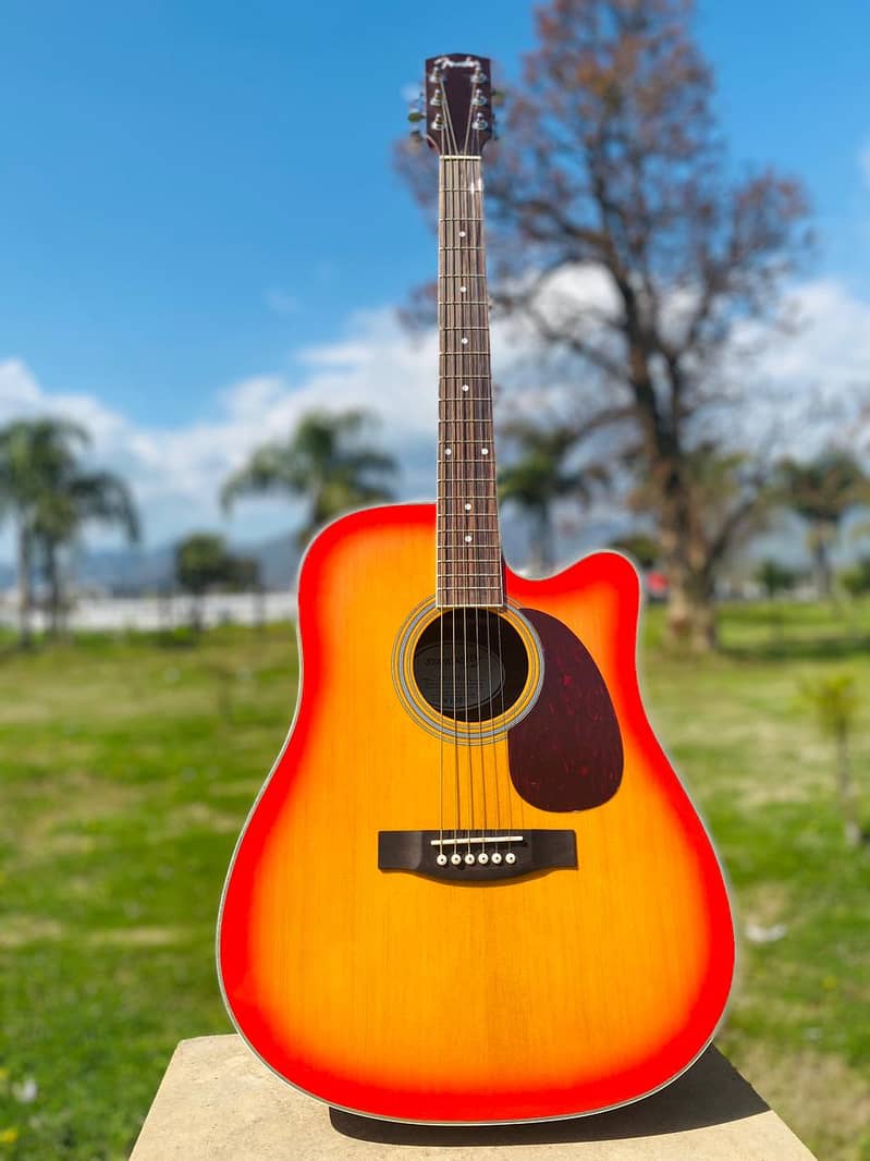 Yamaha Fender Tagima Deviser brand Guitars & violins ukuleles 18