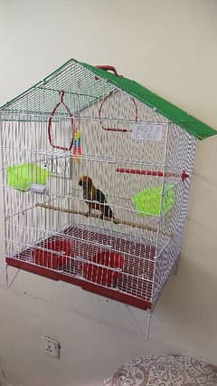 bird cage Pinjra for sale new condition