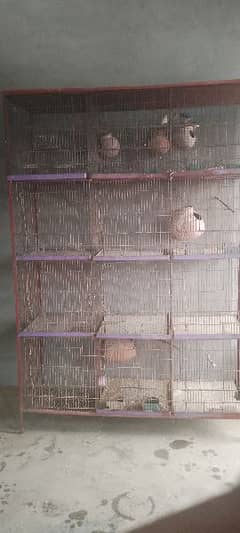 Iron Cage for Birds