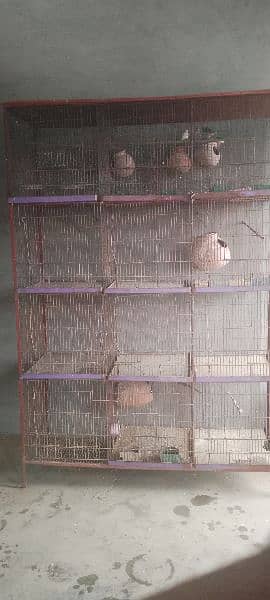 Iron Cage for Birds 0