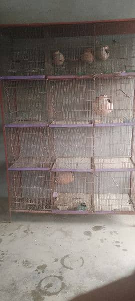 Iron Cage for Birds 1