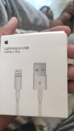 Apple Orignel Lightning to USB cable 0