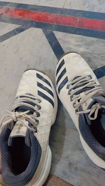 adidas cricket shoes ,condition 10/9. No damage. 1