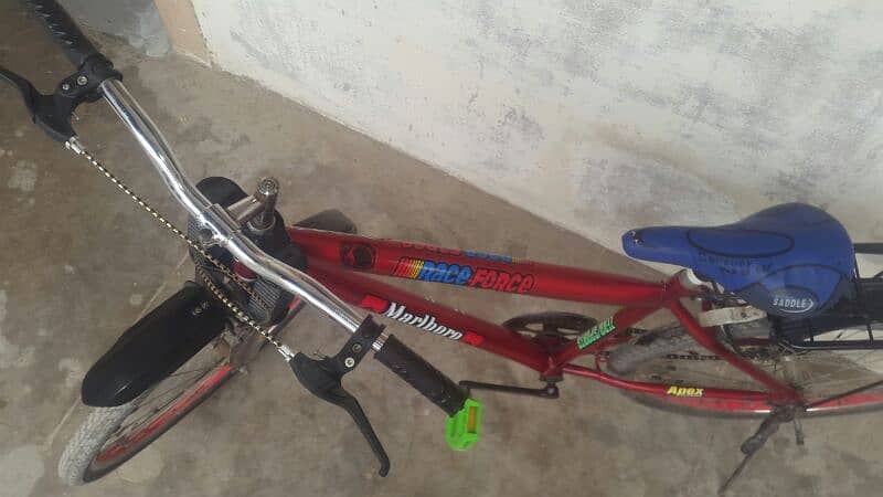 New Bicycle for sell+Giving one horn and light free. Buy it fast ! 2