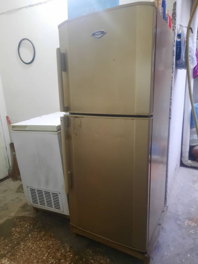 Haier full size refrigerator 3