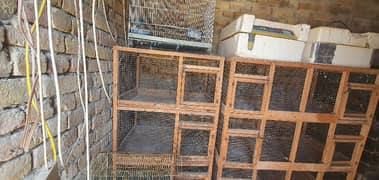 Wooden cages for birds