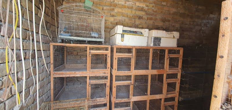 Wooden cages  and incubators available 1