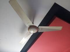 5 Roof Fans 56 inches off White colour Company (Beta Fan) 0