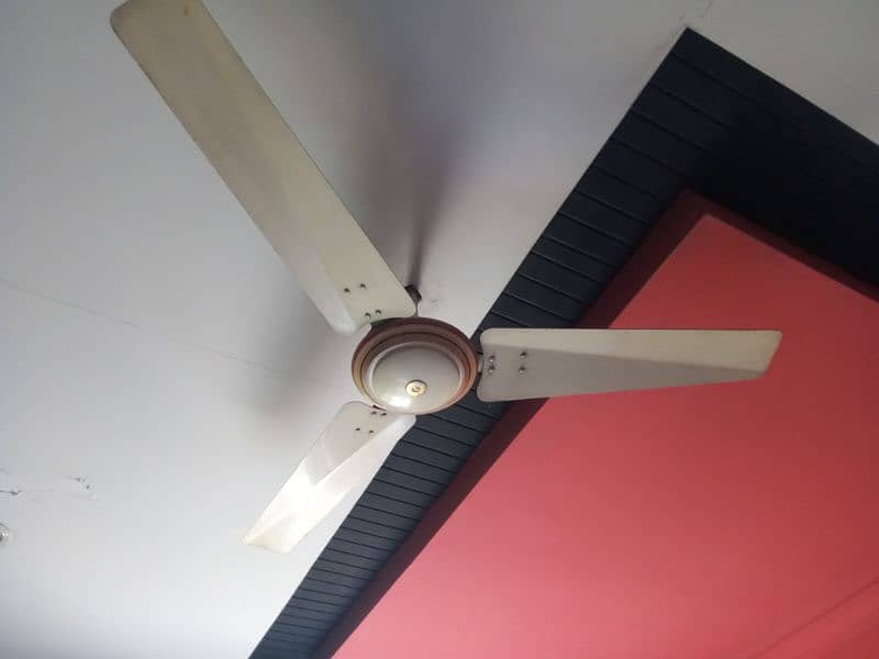 5 Roof Fans 56 inches off White colour Company (Beta Fan) 1