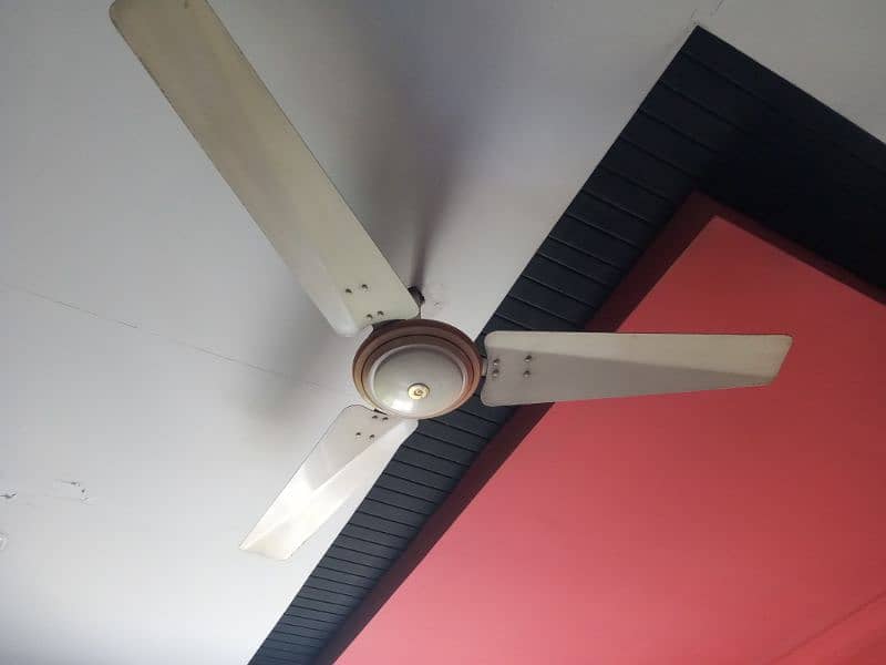 5 Roof Fans 56 inches off White colour Company (Beta Fan) 2